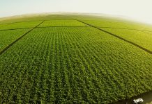 Más de 300 organizaciones se suman a la Huelga Mundial por el Clima