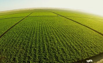 Más de 300 organizaciones se suman a la Huelga Mundial por el Clima