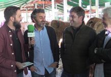 Entrevista a Alejandro Calvo, consejero de Medio Rural, y Saturnino Rodríguez, director general de Ganadería