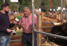 Entrevista al ganadero Alfonso Cueto, de Nava