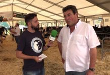 Entrevista a Luis Mariano García, de la ganadería Los Laureles, de Argüero (Villaviciosa)