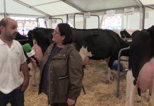 Entrevista al ganadero Carlos Sánchez, de Huexes (Parres)