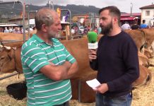 Entrevista al ganadero de Poreño (Villaviciosa) José Manuel Cardín