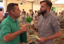 Entrevista a Moises Noval, presidente de la Asociación de Criadores de Gochu Asturcelta