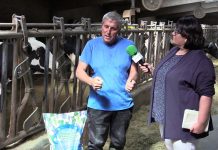 Entrevista a Chema Serna, de la ganadería La Mesquería (Reinosa, Cantabria)