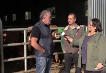 Entrevista a Alberto Fernández y Omar Álvarez, del cebadero TineoBoss SL