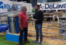 Entrevista a Javier Solar, de AgroLaval, en Agropec 2019