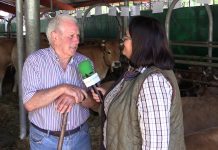 Entrevista a Herminio Cano, veterano ganadero de Somiedo