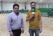 Entrevista a Roberto Cernuda, presidente de la Asociación Nacional de Criadores Raza Parda, tras el Concurso Nacional