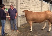 Entrevista a Manuel Ángel Fernández ‘Macías’, de Lindota (Cangas del Narcea)