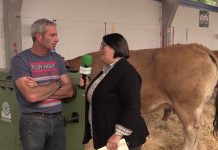 Entrevista a Roberto Gutiérrez, de Castro de Sierra (Cangas del Narcea)