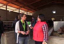 Entrevista a Eva Rodriguez, jefa de Producto de Vacuno de Carne de De Heus