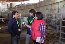 Entrevista a Fabiano Barbosa y Mario Vázquez de De Heus