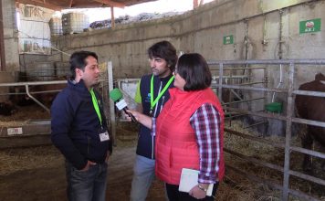 Entrevista a Fabiano Barbosa y Mario Vázquez de De Heus