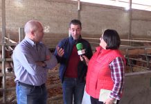 Entrevista a Ramón Martínez de Suroccidente Agrícola y Sander Abrahamse de De Heus