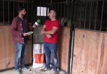 Entrevista a Roberto Molinero, criador de caballos de Los Corrales de Buelna (Cantabria)