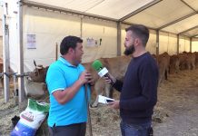 Entrevista a Armando Gutiérrez, presidente de la Asociación de Ganaderos de Piloña