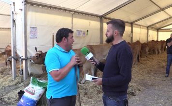 Entrevista a Armando Gutiérrez, presidente de la Asociación de Ganaderos de Piloña