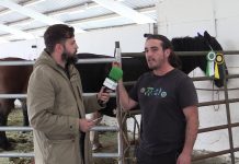 Entrevista a David Velasco, ganadero de La Cerezal (Tineo)