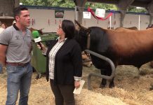 Entrevista a Pedro González, de Brañas de Abajo (Cangas del Narcea)