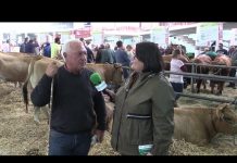 Entrevista al ganadero vasco Joseba Andoni Urieta