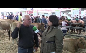 Entrevista al ganadero vasco Joseba Andoni Urieta