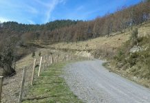 El Jurado de Clasificación resuelve la calificación de un monte vecinal de Vegadeo y aprueba el inicio de otros 18 expedientes