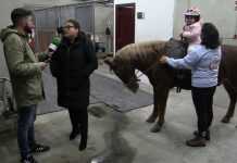 Entrevista a Sandra Fernández, madre de Alma, una de las pequeñas usuarias del Centro de Terapias Ecuestres