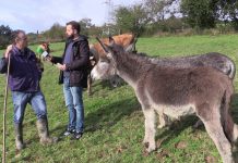 Entrevista al ganadero José López, en Los Fornos (Grao)