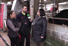 Entrevista a Adrián Álvarez y Tamara Bueno, de la Ganadería Porcilo, de Anzas (Tineo)