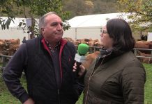 Entrevista a Valeriano Remis, presidente de ASEAMO