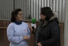 Entrevista a Ketty Vives, directora del Centro de Terapias Ecuestres