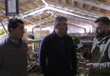 Entrevista a los responsables del cebadero ‘Agroturismo del Naviego’