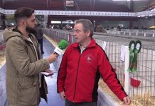 Entrevista a Claudio Fano, presidente de La Pinina