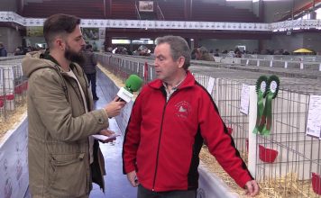 Entrevista a Claudio Fano, presidente de La Pinina