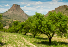 El sector agrario no debe quedar fuera de la Cumbre del Clima