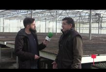 Entrevista a Enrique Candia, gerente de Viveros Mañente