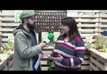 Entrevista a Amelia Fernández, alcaldesa de Carreño