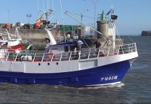 Menos merluza, más xarda, y el mismo bonito en las cuotas de 2020