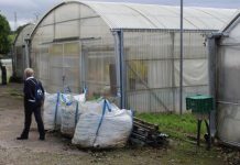 El Serida participa en un proyecto de investigación europeo sobre la conservación de la agrobiodiversidad de las leguminosas