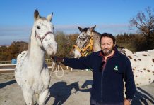 Visitar Asturias a lomos de un caballo