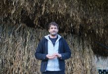 Volver al pueblo, para vivir de la tierra