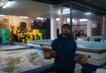 El marisco, protagonista en las mesas de las fiestas navideñas