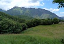 El Principado convoca en enero el Consejo Forestal y el jurado de clasificación de montes vecinales