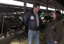 Entrevista a Luis Mariano García, de Ganadería Los Laureles