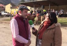 Entrevista a Rubén Fernández, presidente de IGP Ternera Asturiana