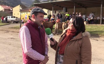 Entrevista a Rubén Fernández, presidente de IGP Ternera Asturiana