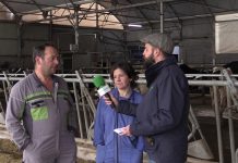 Entrevista a Ganadería Mon y María Jesús S.C. en La Degollada (Valdés)