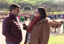 Entrevista a Nino Rodríguez, director general de Ganadería