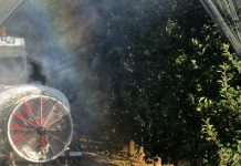 Innoseta: la “wikipedia” de la aplicación de fitosanitarios en la agricultura avanza